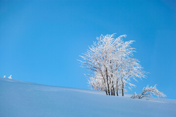 Uludag Mountain Ski Center Drone Photo, Winter Season Uludag National Park, Bursa Turkiye (Turkey)