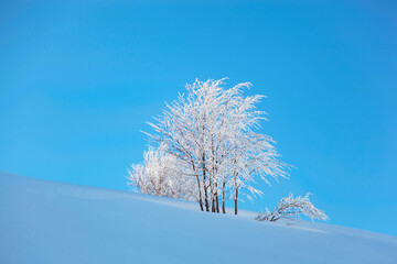 Fototapeta na wymiar Uludag Mountain Ski Center Drone Photo, Winter Season Uludag National Park, Bursa Turkiye (Turkey)