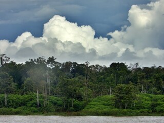 Fahrt auf dem Amazonas