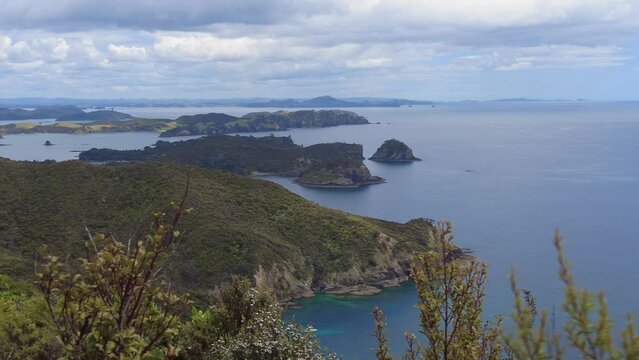 Native forest and islands on the Cape Brett Peninsula hike, Bay of Islands, Northland, New Zealand