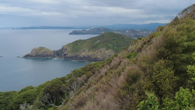 Native forest and islands on the Cape Brett Peninsula hike, Bay of Islands, Northland, New Zealand