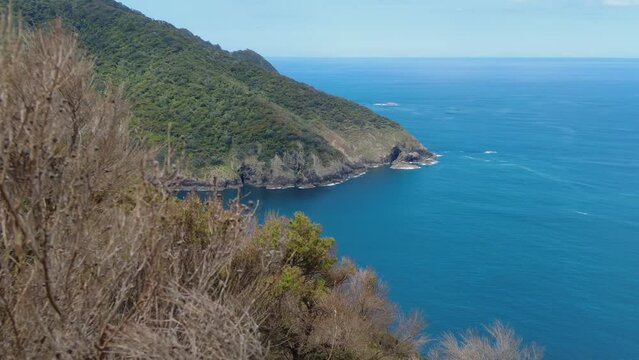 Native forest and islands on the Cape Brett Peninsula hike, Bay of Islands, Northland, New Zealand
