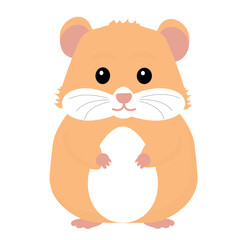 Hamster animal, vector illustration Sitting. Front view. Flat illustration. 