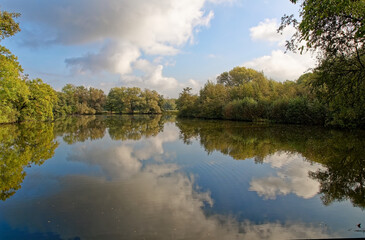 Bäume, Wolken und Himmel spiegeln sich in einem See 
Trees, clouds and sky are reflected in a lake