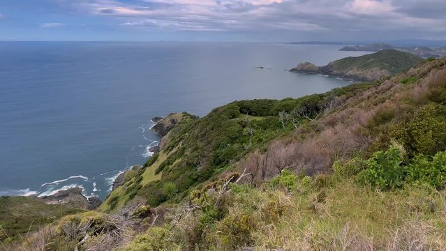 Native forest and islands on the Cape Brett Peninsula hike, Bay of Islands, Northland, New Zealand