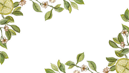Blooming lemon tree. Rectangular frame in watercolor. Citrus slices and small white flowers on curved branches. Corner isolated pattern. Ideal for kitchen decor - obrazy, fototapety, plakaty