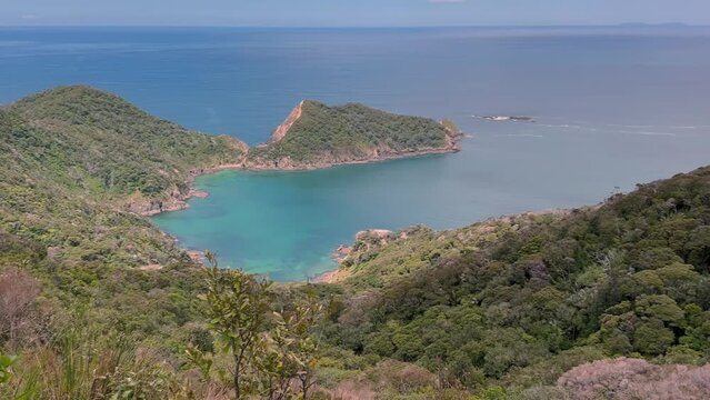 Native forest and islands on the Cape Brett Peninsula hike, Bay of Islands, Northland, New Zealand