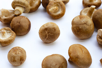 Fresh shiitake mushrooms on white background.