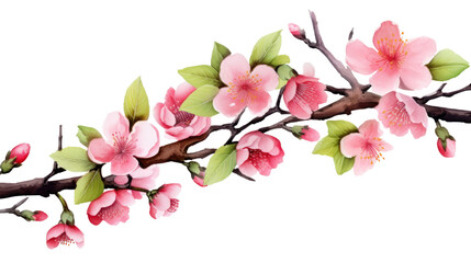 Obraz premium Pink watercolor flowers decoration for wedding on transparent background, png