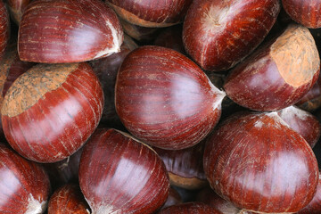 Ripe chestnuts close up. Sweet raw chestnuts. Husked chestnuts. Organic food