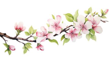Pink watercolor bench of flowers on transparent background, png