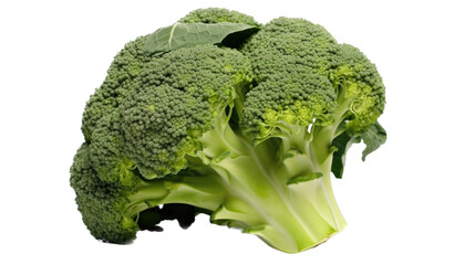 broccoli in side view, in an isolated and transparent PNG in a Vegetable-themed, photorealistic illustration. Generative ai