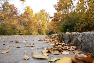 Beautiful Nature Autumn landscape. Scenery view on autumn city park with golden yellow foliage in cloudy day. Walking paths in the city Park strewn with autumn fallen leaves