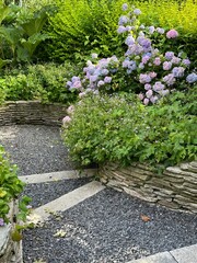 Staircase with gravel path in garden. Blooming hydrangea in flower bed