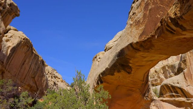 Establishing shot of mountain trail with red rocks background in Hickman Natural Bridge Trail, Capital Reef National Park, Utah, North America. Day time on October 2023. Still camera view. ProRes 422 