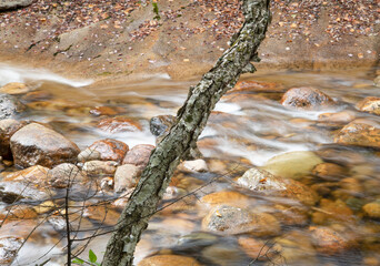 The Saco River along Maggie's Run Trail, White Mountain National Forest, New Hampshire