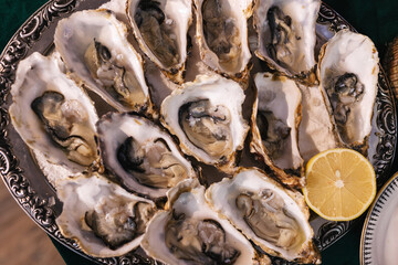 Top view of dozen opened fresh raw oysters in shells with lemon slice in silver pewter serving...