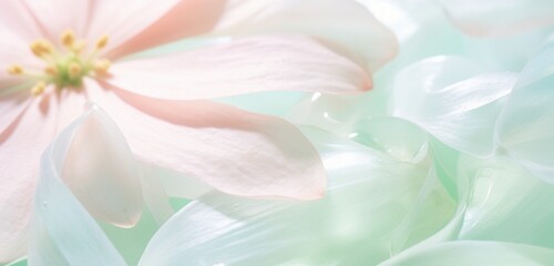 a close-up of delicate flower petals, gentle pastel mint green and muted blush lime, in the style of botanical photography.