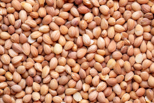 Mahlep, Mahlab or Mahaleb seeds isolated on white background