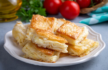Delicious Turkish Tray pastry, Su boregi with cheese. Adana borek.