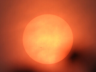 Bloody sun on wildfire day