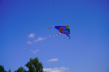 A kite flies in the blue sky