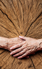 old elderly hands and old tree - concept - 682570940
