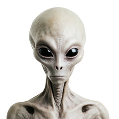 alien on transparent background PNG image