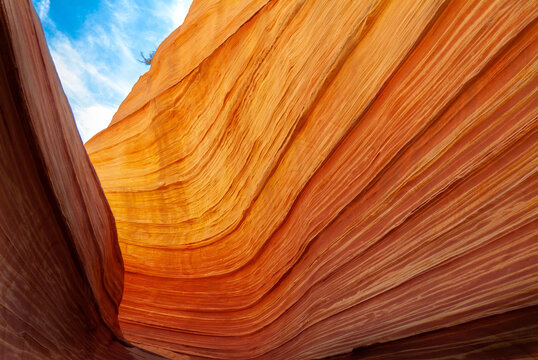 The Wave Arizona Natural Sandstone Formation Hiking Destination near border of Utah