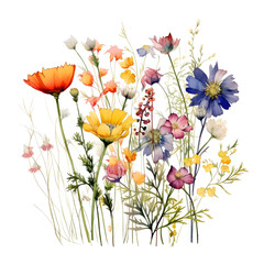 Wild flowers on cutting background
