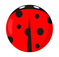 ladybug
