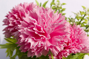 pink carnation flower made from soap on white background.