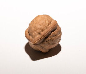 Walnuts are rounded, single-seeded stone fruits of the walnut tree. Tricuspid walnut.