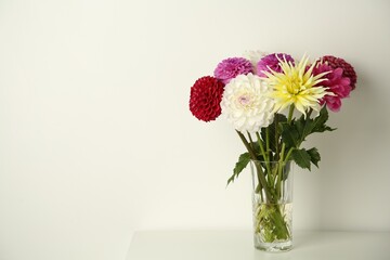 Bouquet of beautiful Dahlia flowers in vase on white table. Space for text