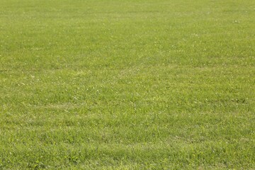 Beautiful lawn with bright green grass outdoors