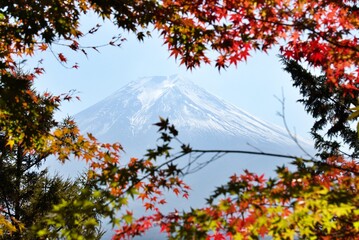 紅葉から見える富士山