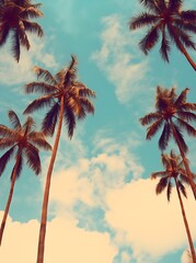 Palmeras en Verano en una Playa de México" (Palm trees in summer on a beach in Mexico