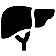 Liver