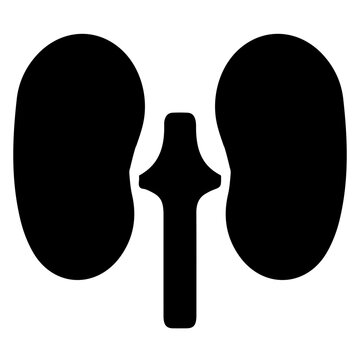 Kidney