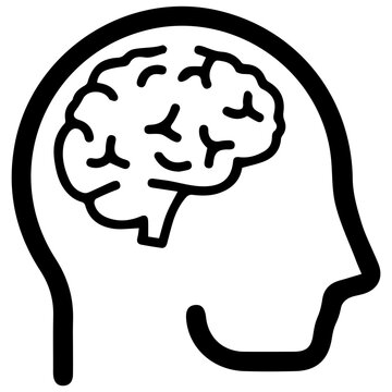 Brain