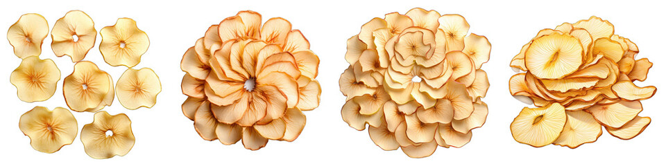 Dried apple slices Hyperrealistic Highly Detailed Isolated On Transparent Background Png File