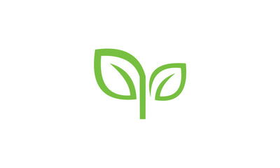 green leaf icon