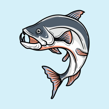 Payara fish cartoon icon illustration