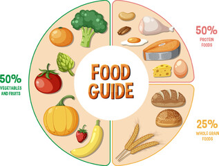 Macronutrient Food Guide: Circle of Balanced Nutrition