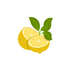 yellow lemon fruit vector