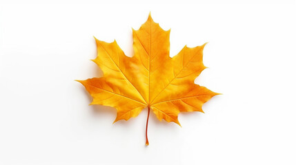 maple leaf on white background. Generative AI