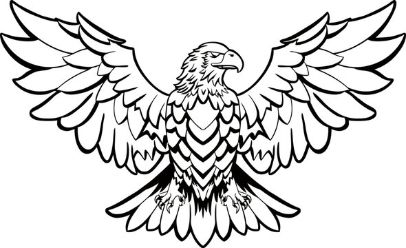 Eagle line art mascot illustration isolated white background