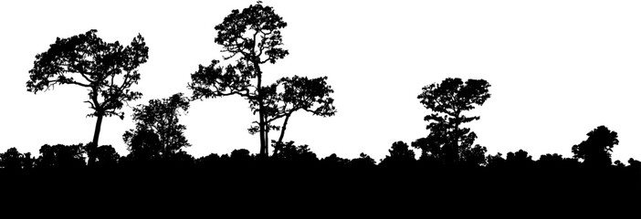 silhouettes of grass and trees. Forest silhouette, Tree shadow. © Ammak