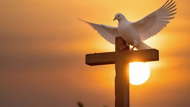 Closeup of a golden crucifix with a serene white dove perched on top, as the sun rises in the background, symbolizing peace and new beginnings.