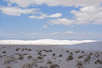 Gypsum Dunes at White Sands National Monument